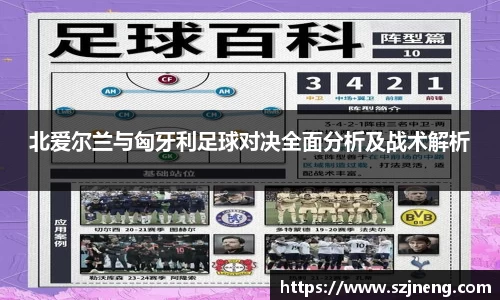 北爱尔兰与匈牙利足球对决全面分析及战术解析